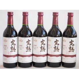 5本セット(信州産完熟コンコード やや甘口赤ワイン ミディアム) 720ml×5本