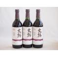 3本セット(信州産完熟巨峰 やや甘口赤ワイン ミディアム) 720ml×3本