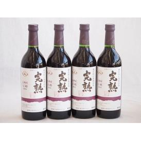 4本セット(信州産完熟巨峰 やや甘口赤ワイン ミディアム) 720ml×4本