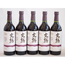 5本セット(信州産完熟巨峰 やや甘口赤ワイン ミディアム) 720ml×5本