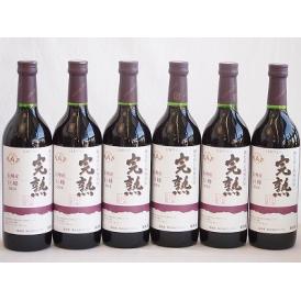 6本セット(信州産完熟巨峰 やや甘口赤ワイン ミディアム) 720ml×6本