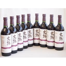 9本セット(信州産完熟巨峰 やや甘口赤ワイン ミディアム) 720ml×9本