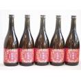 5本セット(紀州和歌山 香る南高 紅南高梅酒) 720ml×5本