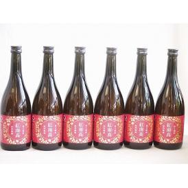 6本セット(紀州和歌山 香る南高 紅南高梅酒) 720ml×6本