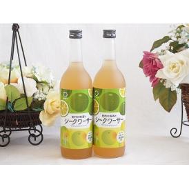 2本セット(和歌山県産南高梅使用 紀州の梅酒とシークワーサーalc.12%) 720ml×2本