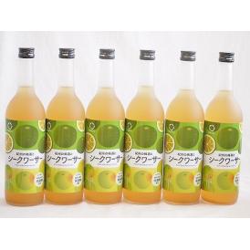 6本セット(和歌山県産南高梅使用 紀州の梅酒とシークワーサーalc.12%) 720ml×6本