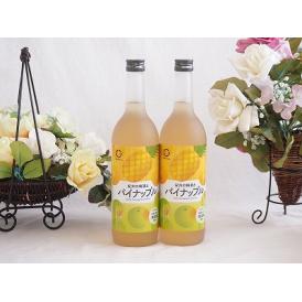 2本セット(和歌山県産南高梅使用 紀州の梅酒とパイナップルalc.12%) 720ml×2本