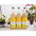 3本セット(和歌山県産南高梅使用 紀州の梅酒とパイナップルalc.12%) 720ml×3本