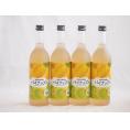 4本セット(和歌山県産南高梅使用 紀州の梅酒とパイナップルalc.12%) 720ml×4本