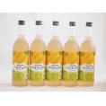 5本セット(和歌山県産南高梅使用 紀州の梅酒とパイナップルalc.12%) 720ml×5本