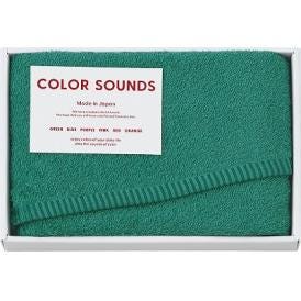 夏の贈り物お中元 フェイスタオル COLOR SOUNDS グリーン 29×75cm