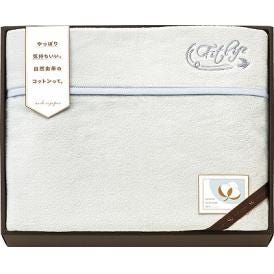夏の贈り物お中元 国産なめらか衿付き綿毛布(刺繍入)(泉州産) コットンセレクションギフト グレー 140×200cm