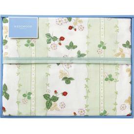 夏の贈り物お中元 綿毛布（毛羽部分） ウェッジウッド グリーン 140×200cm