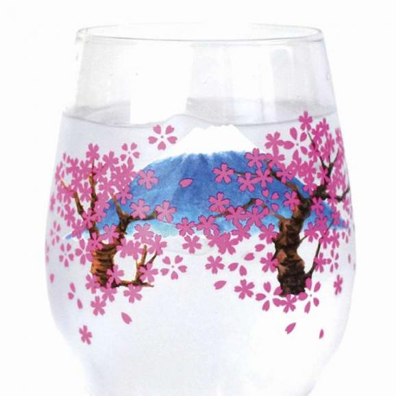 夏の贈り物お中元 冷感ペアグラス 富士紅葉桜 直径7.3×12.4cm02