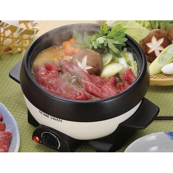 夏の贈り物お中元 ミニグリルパン16cm ホームスワン 24.5×20×17cm ★焼きものプレート・簡単レシピ付　★コードの長さ：1m　★消費電力：500W02