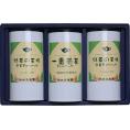 春の贈り物 豊味緑茶ティーバッグ詰合せ 仲井芳東園 緑茶の王様ティーバッグ（2g×20p）×2、一番煎茶ティーバッグ（5g×20p）×1