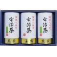 夏の贈り物お中元 宇治茶詰合せ（健康応援茶） 抹茶入煎茶（100g）×2、玉露（100g）×1