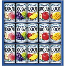 夏の贈り物お中元 フルーツジュースギフト カゴメ 100CAN（ピーチブレンド・グレープ・パインアップルブレンド・アップル・マンゴーブレンド）（各160g）×各3
