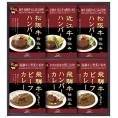 夏の贈り物お中元 松阪牛・近江牛・飛騨牛仕込みハンバーグ＆カレー詰合せ 飛騨高山ファクトリー 飛騨牛ビーフカレー（190g）・松阪牛仕込みハンバーグ（150g）×各2、飛騨牛入りハンバーグカレー（19
