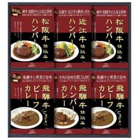 夏の贈り物お中元 松阪牛・近江牛・飛騨牛仕込みハンバーグ＆カレー詰合せ 飛騨高山ファクトリー 飛騨牛ビーフカレー（190g）・松阪牛仕込みハンバーグ（150g）×各2、飛騨牛入りハンバーグカレー（19