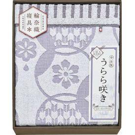 夏の贈り物お中元 タオルケット 今治 140×190cm