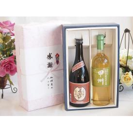 夏の贈り物お中元 感謝の贈り物ボックスプレミアムな芋焼酎と国産ワインセット (山梨県産葡萄100％使用 甲州白ワイン 