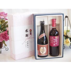 夏の贈り物お中元 感謝の贈り物ボックスプレミアムな芋焼酎と国産ワインセット (山梨県産葡萄100％使用 マスカットベー
