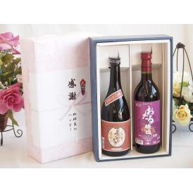 夏の贈り物お中元 感謝の贈り物ボックスプレミアムな芋焼酎と国産ワインセット (おたる醸造 キャンベルアーリ赤ワイン 辛