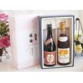 夏の贈り物お中元 感謝の贈り物ボックスプレミアムな芋焼酎と国産ワインセット (北海道の詩 プレミアムなキャンベル赤ワイ