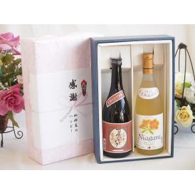 夏の贈り物お中元 感謝の贈り物ボックスプレミアムな芋焼酎と国産ワインセット (北海道の詩 完熟ナイヤガラ白ワイン 甘口