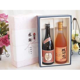 夏の贈り物お中元 感謝の贈り物ボックスプレミアムな芋焼酎と国産ワインセット (おたる醸造 旅路orange 白ワイン 