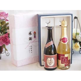 夏の贈り物お中元 感謝の贈り物ボックスプレミアムな芋焼酎と国産ワインセット (甲州スパークリング 白ワインやや辛口(山