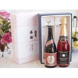 感謝の贈り物ボックスプレミアムな芋焼酎と国産ワインセット (塩尻コンコードスパークリングロゼワインや