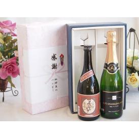 夏の贈り物お中元 感謝の贈り物ボックスプレミアムな芋焼酎と国産ワインセット (塩尻ナイアガラスパークリング白ワインやや
