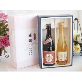 夏の贈り物お中元 感謝の贈り物ボックスプレミアムな芋焼酎と国産ワインセット (信州りんごシードルワインやや甘口(長野県