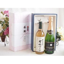 夏の贈り物お中元 感謝の贈り物ボックス有機栽培100%白ワインと国産ワインセット(塩尻ナイアガラスパークリング白ワイン