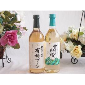 有機栽培100%白ワインと国産ワインセット(実りの収穫 白辛口ワイン 辛口(山梨県)720ml契約農