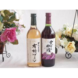 有機栽培100%白ワインと国産ワインセット(実りの収穫 赤ワイン やや甘口(山梨県)720ml契約農