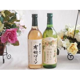 有機栽培100%白ワインと国産ワインセット(国産葡萄100％使用 おいしい日本ワイン 白ワイン やや
