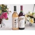 有機栽培100%白ワインと国産ワインセット(国産葡萄100％使用 おいしい日本ワイン 赤ワイン 中口