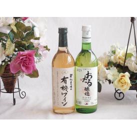 有機栽培100%白ワインと国産ワインセット(おたる醸造 ナイアガラ 白ワイン やや甘口(北海道)72