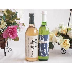 有機栽培100%白ワインと国産ワインセット(京都青谷 梅わいんワインやや甘口(京都府)500ml契約