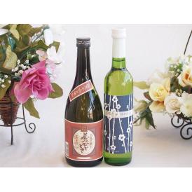 プレミアムな芋焼酎と国産ワインセット( 京都青谷 梅わいんワインやや甘口(京都府)500ml大分井上