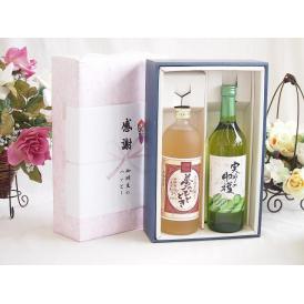 夏の贈り物お中元 感謝の贈り物ボックス プレミアムな麦焼酎と国産ワインセット(実りの収穫 白甘口ワイン 甘口(山梨県)