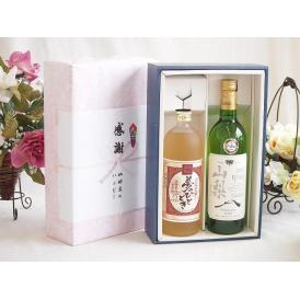 夏の贈り物お中元 感謝の贈り物ボックス プレミアムな麦焼酎と国産ワインセット(山梨 甲州 白ワイン やわらかな辛口(山