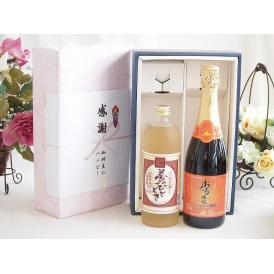 夏の贈り物お中元 感謝の贈り物ボックス プレミアムな麦焼酎と国産ワインセット(おたる醸造 キャンベル赤スパークリングワ