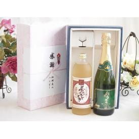 感謝の贈り物ボックス プレミアムな麦焼酎と国産ワインセット(おたる醸造 ナイアガラス白パークリングワ