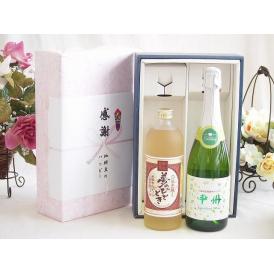 夏の贈り物お中元 感謝の贈り物ボックス プレミアムな麦焼酎と国産ワインセット(勝沼仕込みの甲州白スパークリングワインや