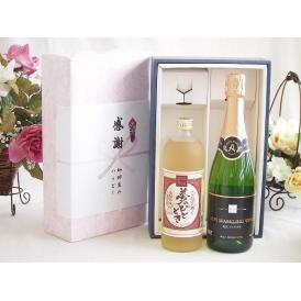 夏の贈り物お中元 感謝の贈り物ボックス プレミアムな麦焼酎と国産ワインセット(塩尻ナイアガラスパークリング白ワインやや
