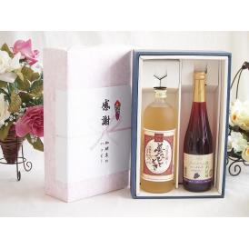 夏の贈り物お中元 感謝の贈り物ボックス プレミアムな麦焼酎と国産ワインセット(信州巨峰スパークリングワイン やや甘口(